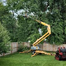 Best Tree Preservation Services  in Lake Success, NY